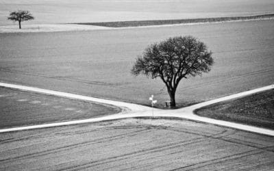 Midlife: 6 Ways to Improve your Mindset